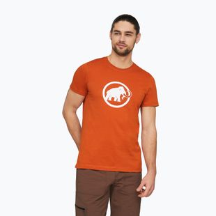 Pánske tričko Mammut Core T-Shirt Men Classic autumn larice