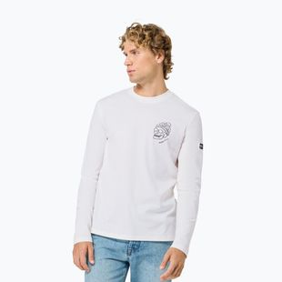Pánske tričko longsleeve super.natural Frosty Bio white/blueberry
