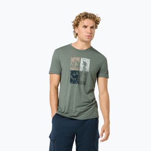 Pánske tričko Super.Natural Go Hiking Tee eucalyptus/various