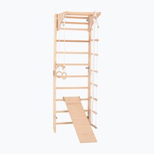 Gymnastický rebrík RINAGYM Kombi 3