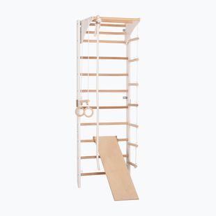 Gymnastický rebrík RINAGYM Kombi 3 white