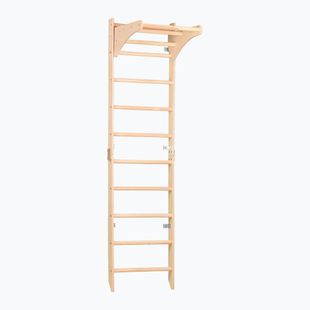 Gymnastický rebrík RINAGYM SPR C Pure
