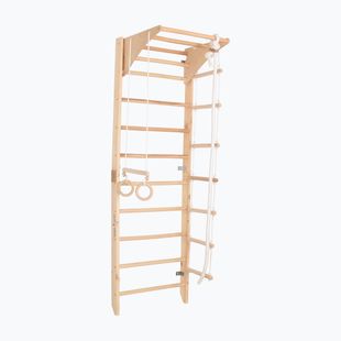 Gymnastický rebrík RINAGYM Kombi 2