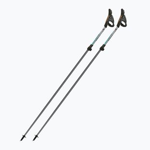 Palice na nordic walking Fizan Carbon Pro Impulse grey