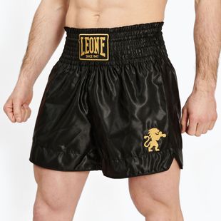 Pánske boxerské šortky LEONE 1947 Basic 2 black