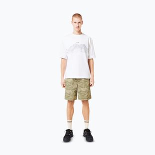 Pánske tričko Oakley Wired Mtn Scape Tee white
