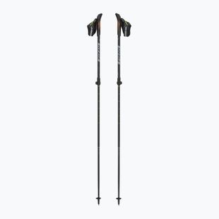 Nordic walking palice Fizan R-evolution grey/ocean