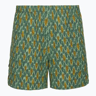 Pánske trekingové nohavice Royal Robbins All-In algae flash pt