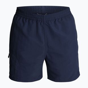 Pánske trekingové nohavice Royal Robbins All-In navy
