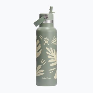 Termofľaša Hydro Flask Standard Flex Straw 620 ml botanical bliss/agave