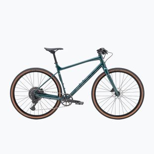 Gravelový bicykel Marin DSX 1 700C green/silver
