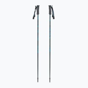 Lyžiarske palice Fischer RC4 Noize grey / blue