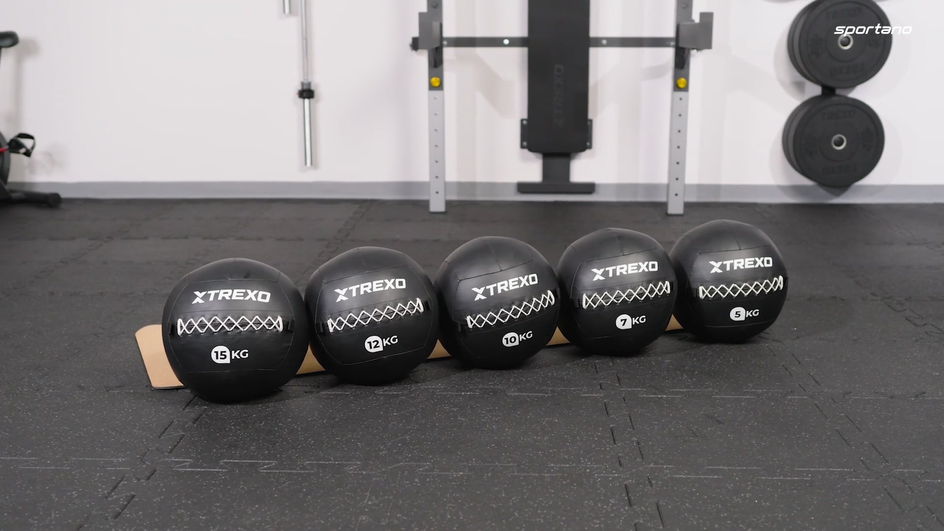 Medicimbalová lopta TREXO Wall Ball 12 kg black