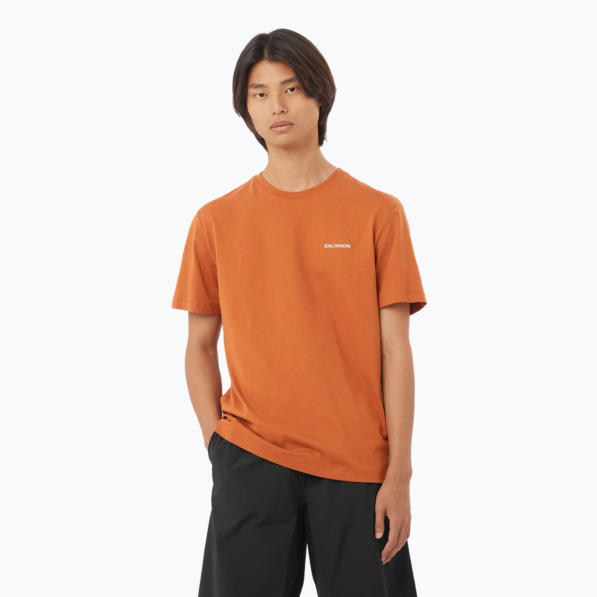 Pánske tričko Salomon Logo Tee sierra (Logo Tee LC2526500)