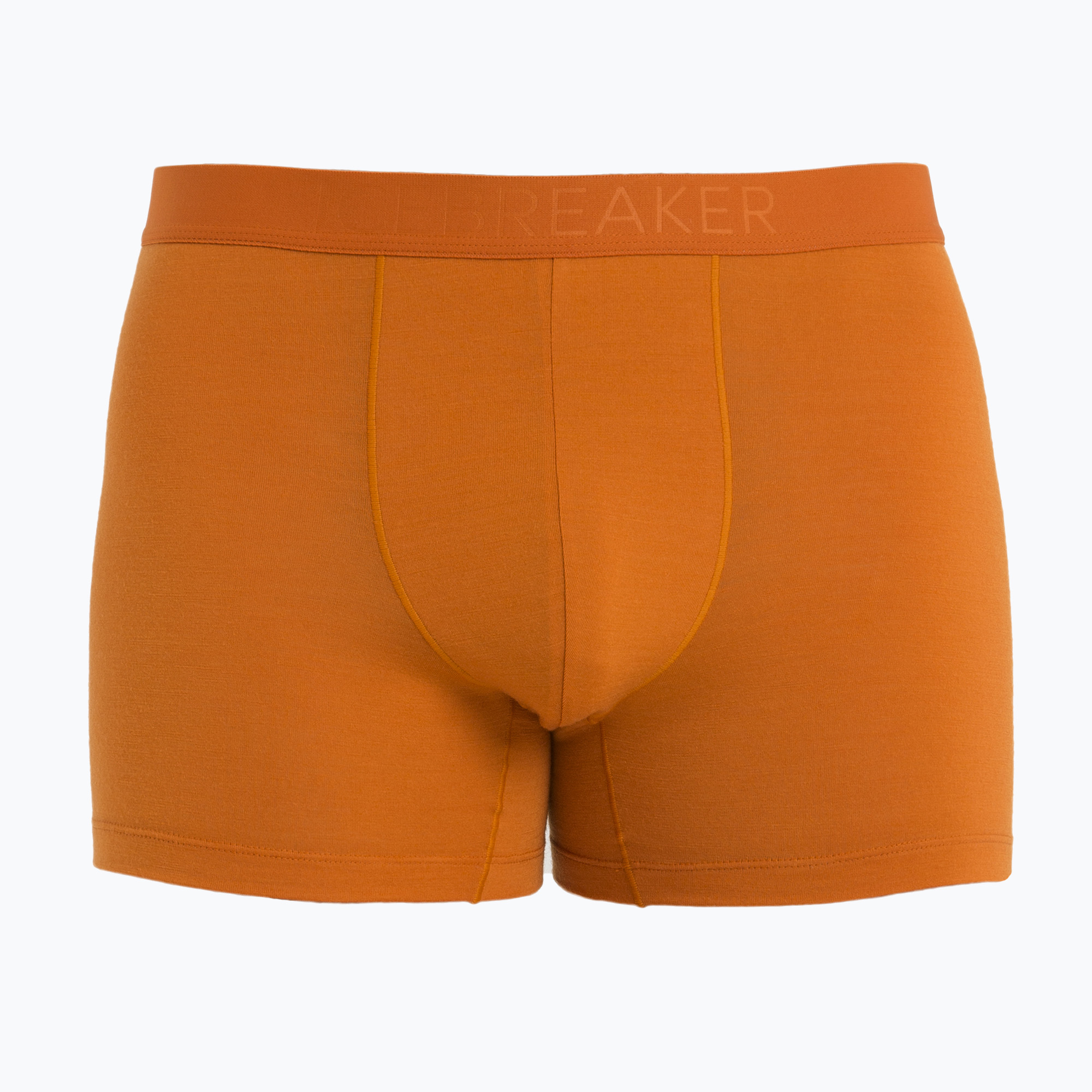 Pánske termo boxerky Icebreaker Anatomica Cool-Lite Earth (Anatomica Cool-Lite IB1052468651)