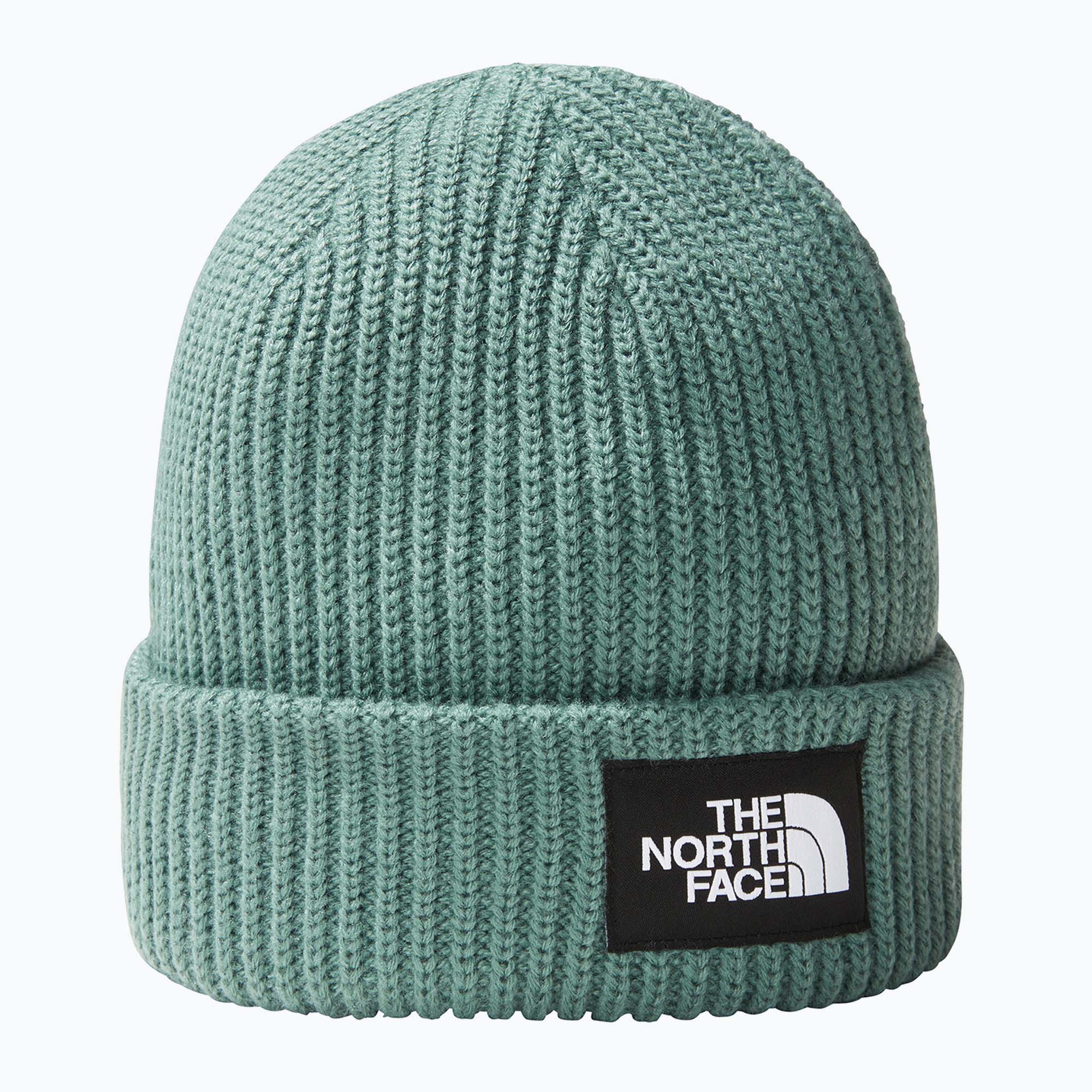 Zimná čiapka The North Face Salty dark sage (Salty NF0A3FJWI0F1001)