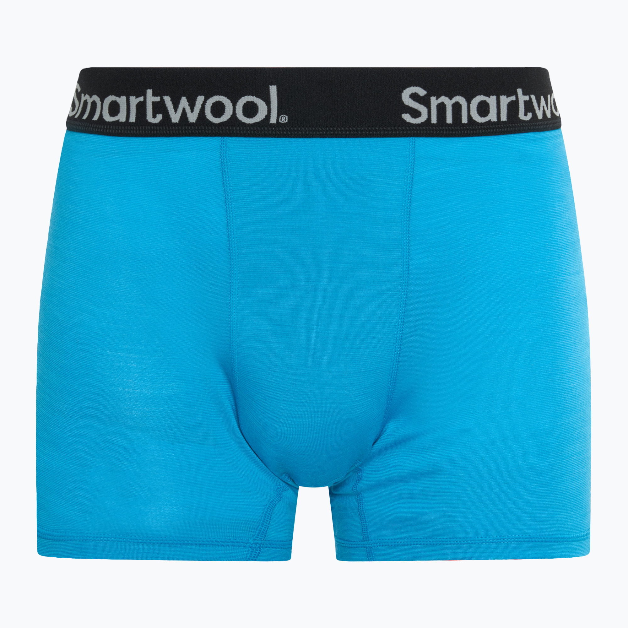 Pánske termo boxerky Smartwool Merino Boxer Brief pool blue
