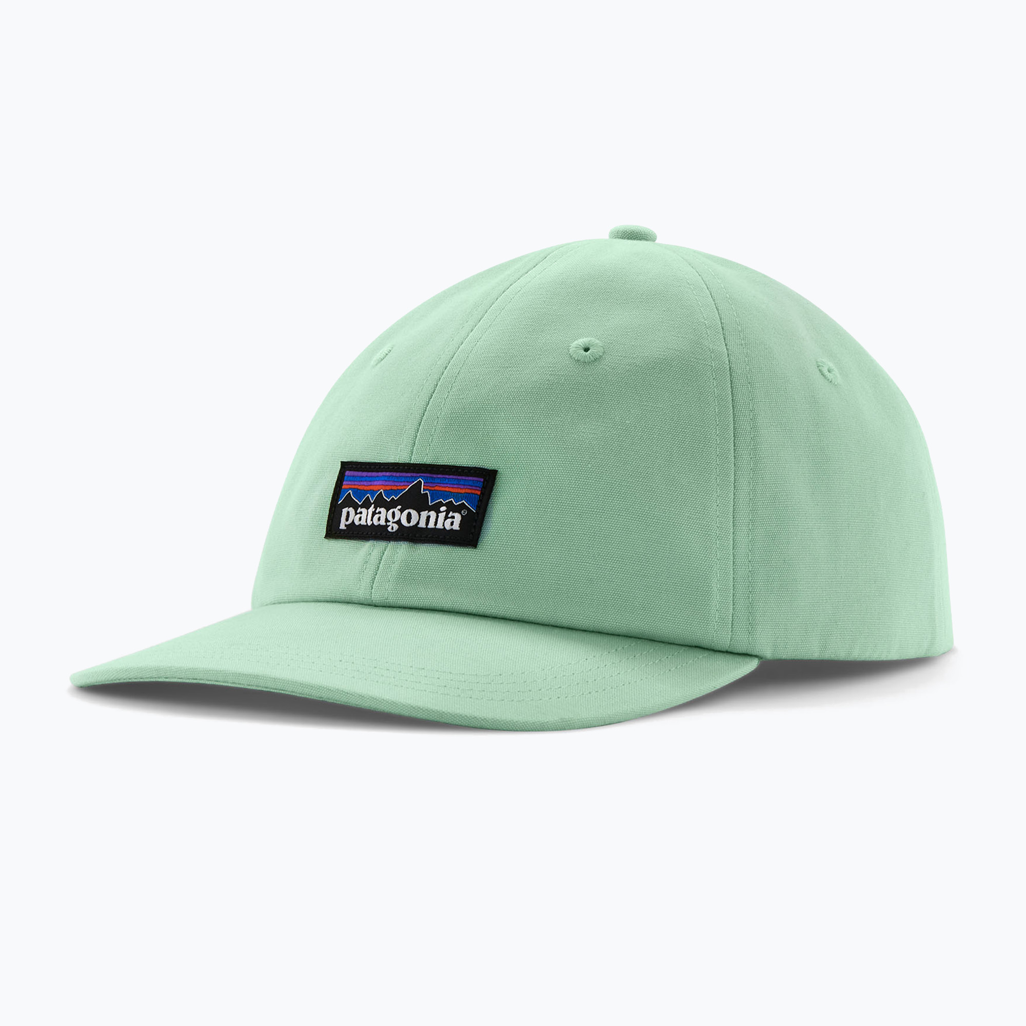 Šiltovka Patagonia P-6 Logo Trucker rinsed green