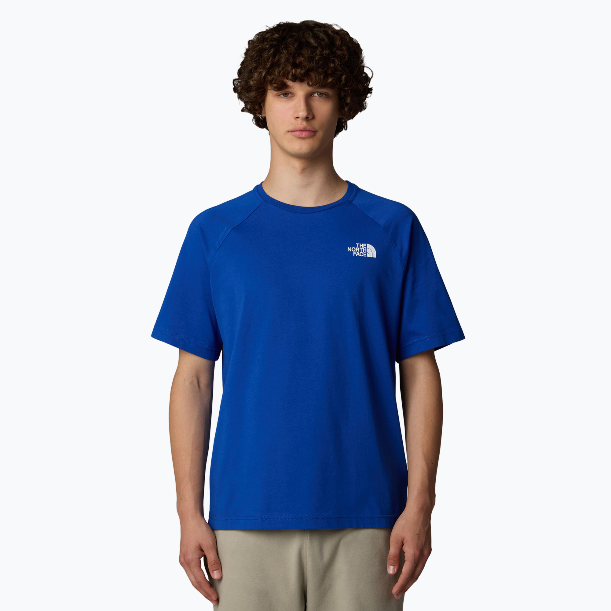 Pánske tričko The North Face North Faces blue (North Faces NF0A87NUCZ61)