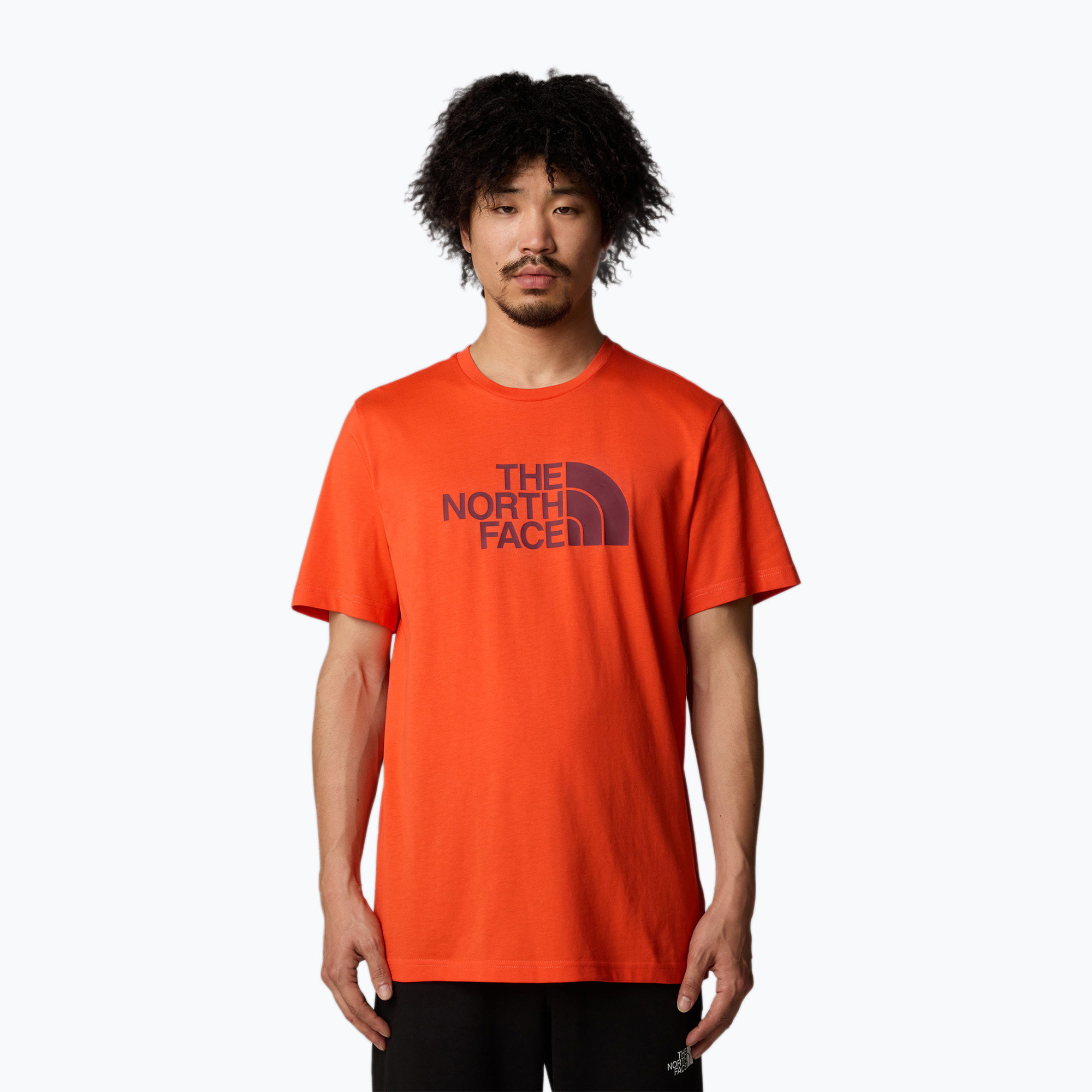 Pánske tričko The North Face Easy crimson orange/alpine plum (Easy NF0A8A6C7ON1001)