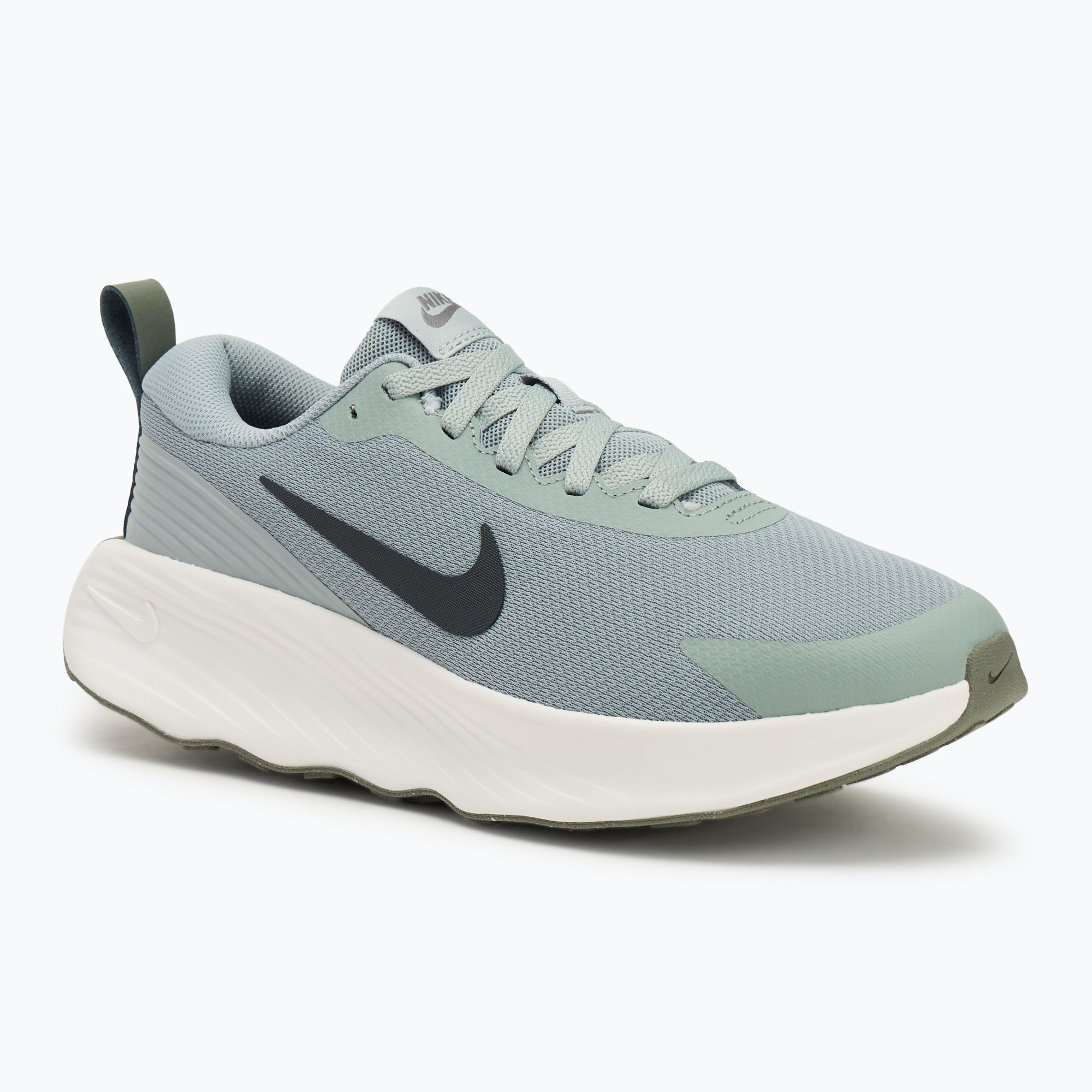 Pánska obuv Nike Promina light pumice/dark stucco/summit white/anthracite (Promina FV5285-003)