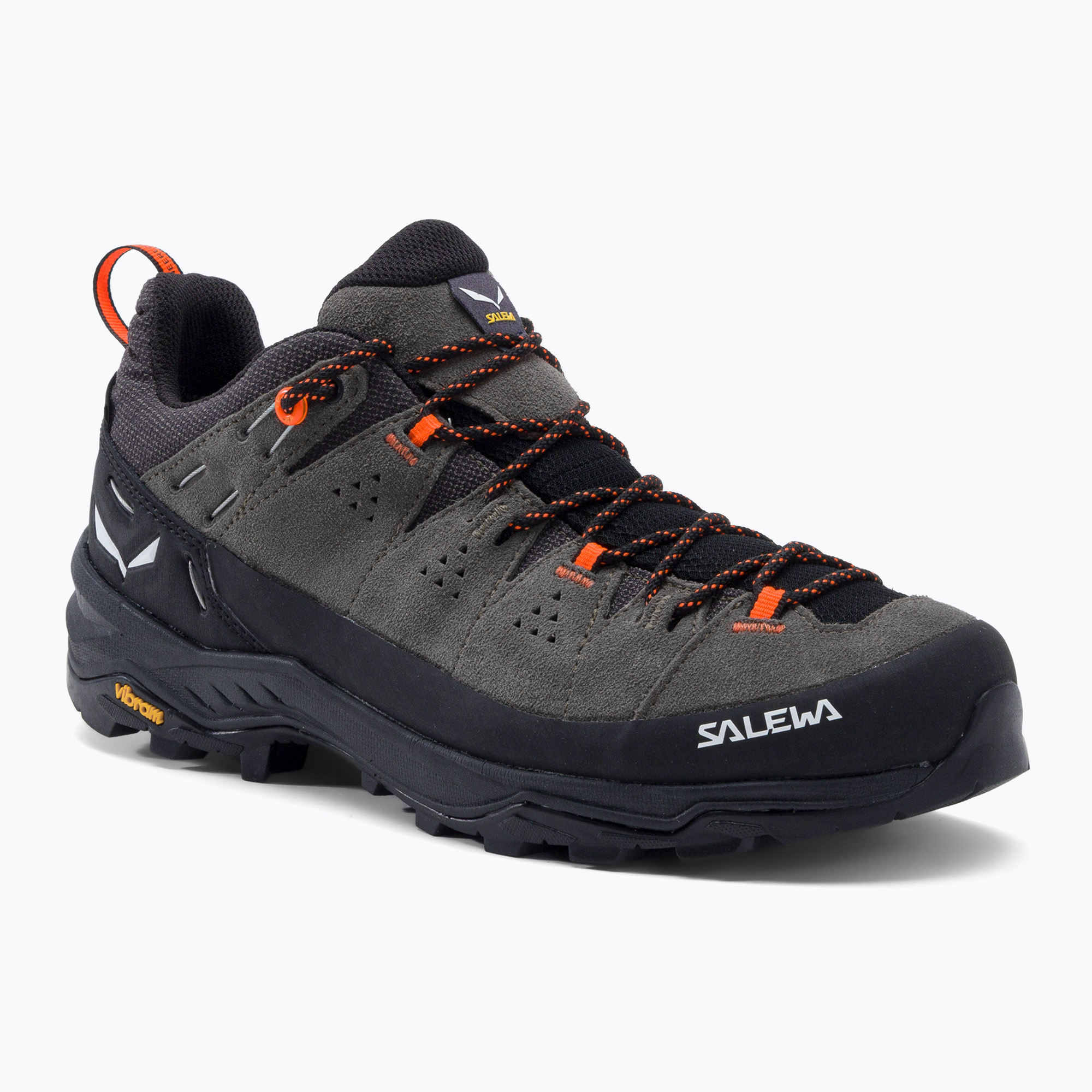Pánske trekové topánky Salewa Alp Trainer 2 GTX brown 00-0000061400 (Alp Trainer 2 GTX 00-0000061400)