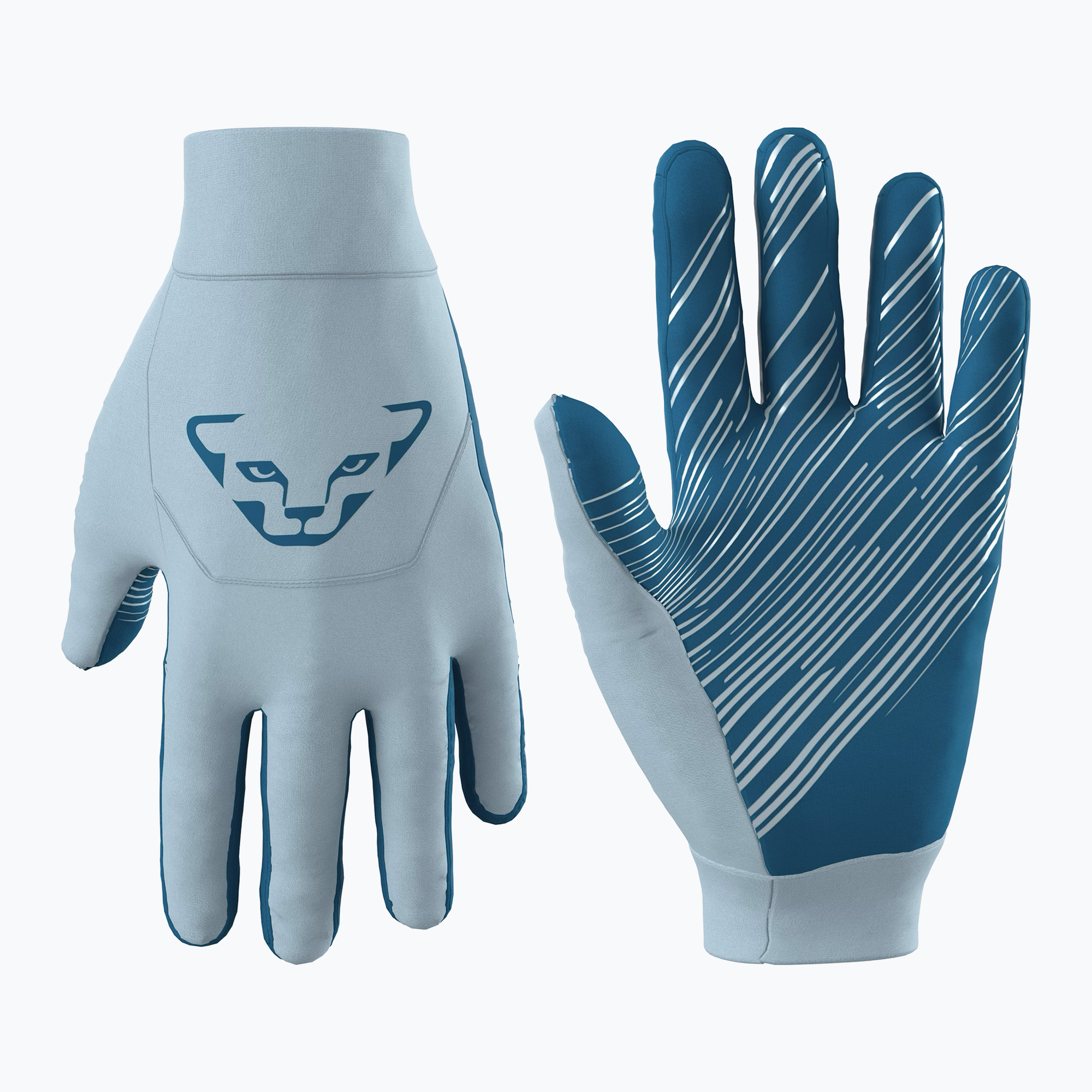 Lyžiarske rukavice DYNAFIT Upcycled Thermal blue fog (Upcycled Thermal 08-0000071369)