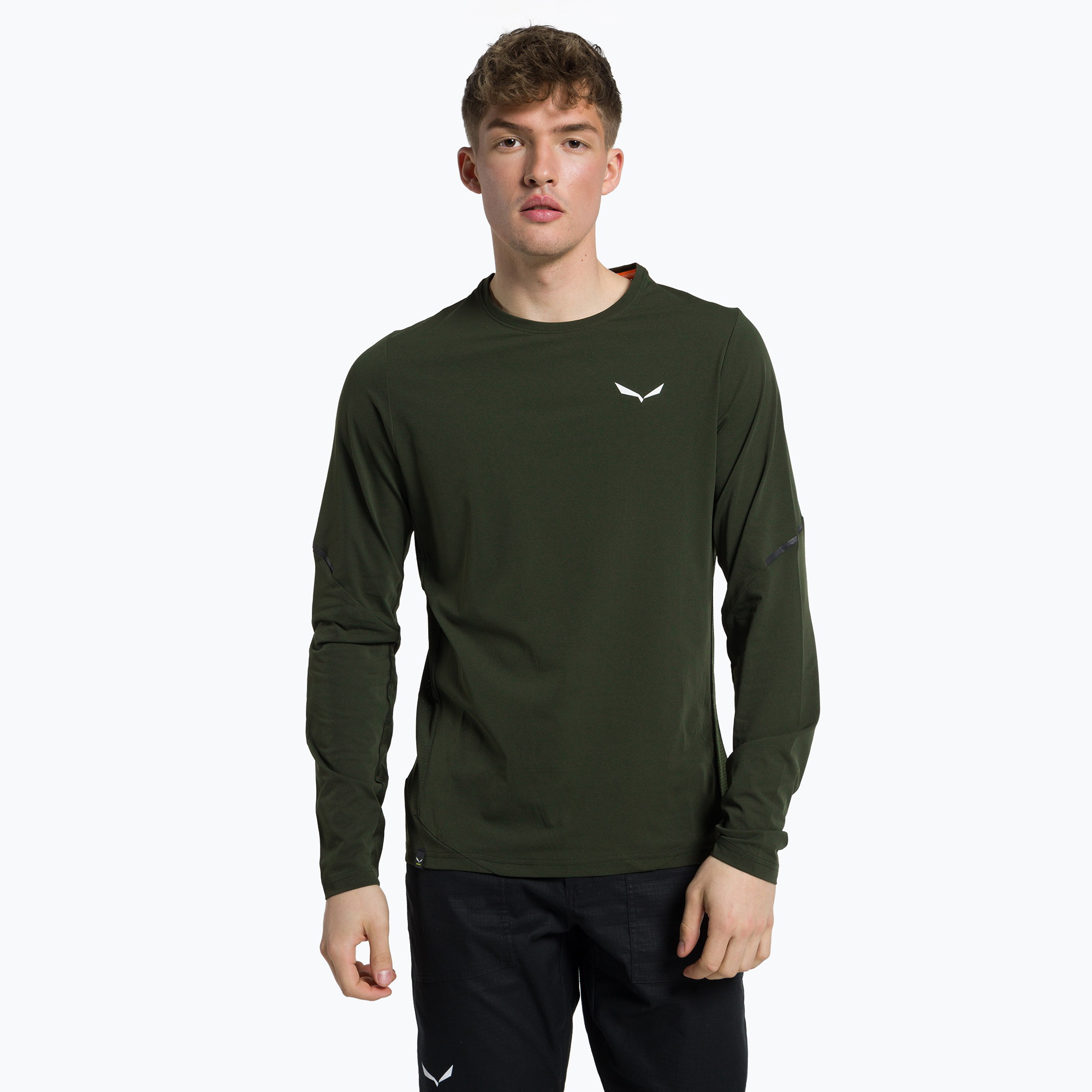 Pánske trekingové tričko Salewa Pedroc Dry zelené 00-0000028578 (Pedroc Dry LS 00-0000028578)