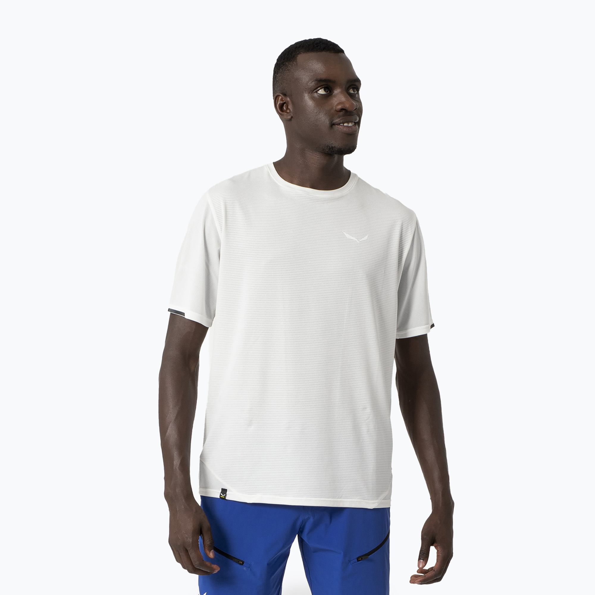 Pánske tričko Salewa Pedroc Dry Mesh biela