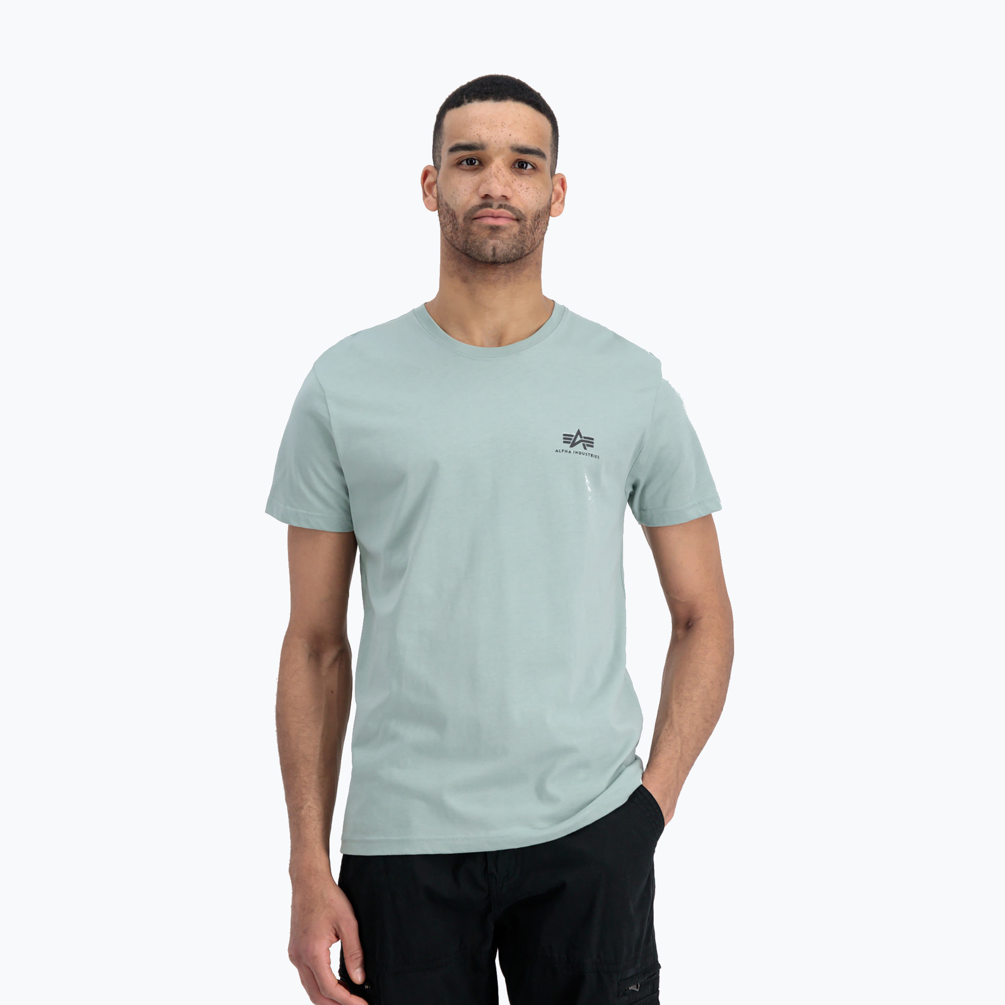 Pánske tričko Alpha Industries Basic Small Logo dusty green (Basic Small Logo 188505)