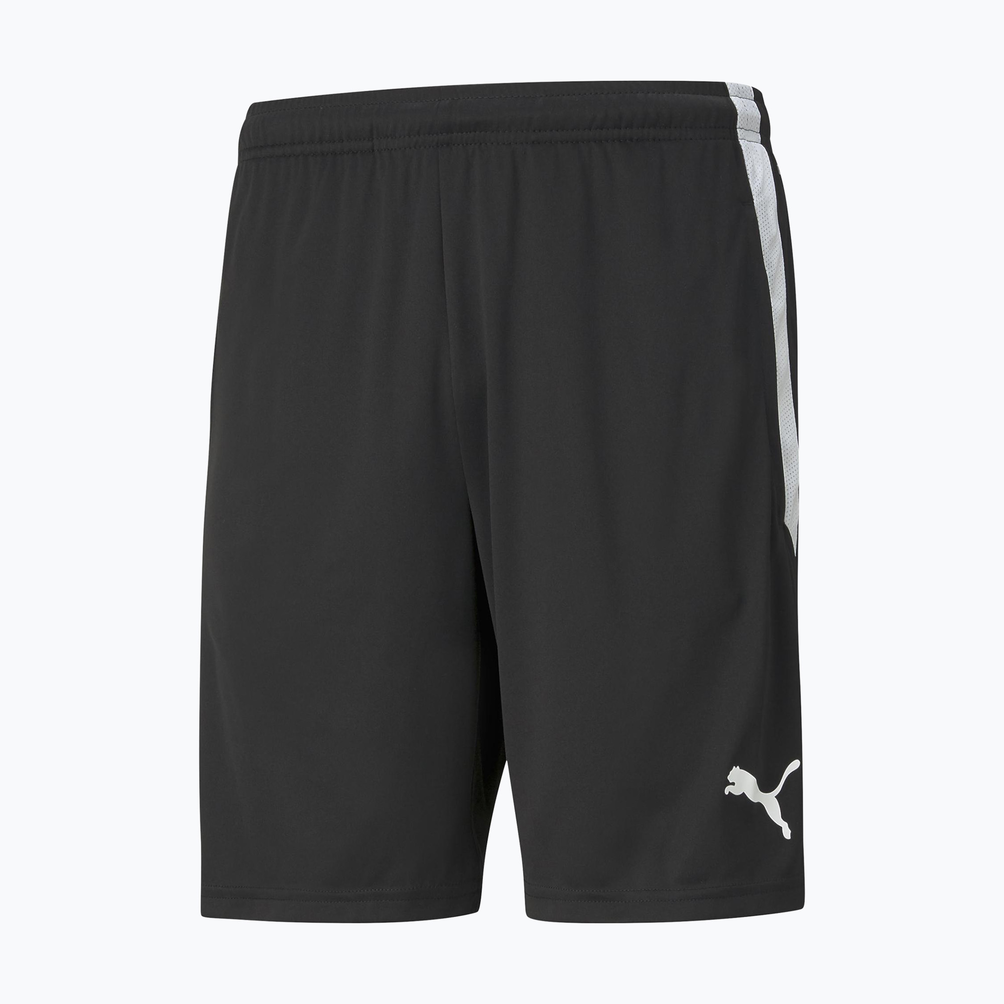 Pánske futbalové šortky PUMA Teamliga Training black 657249 03 (Teamliga Training 657249 03)