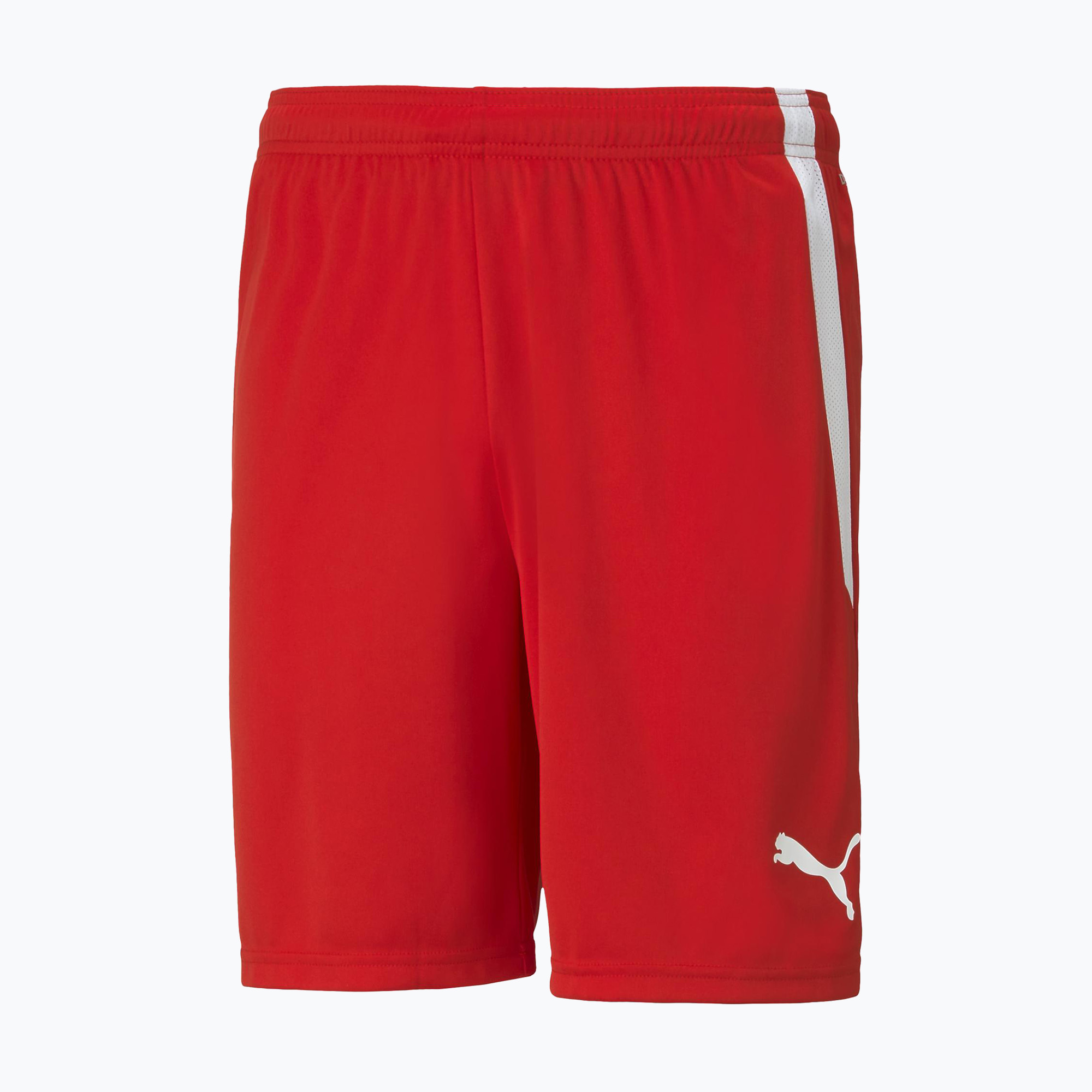 Pánske futbalové šortky PUMA Teamliga červené 74924 1 (Teamliga 704924 01)