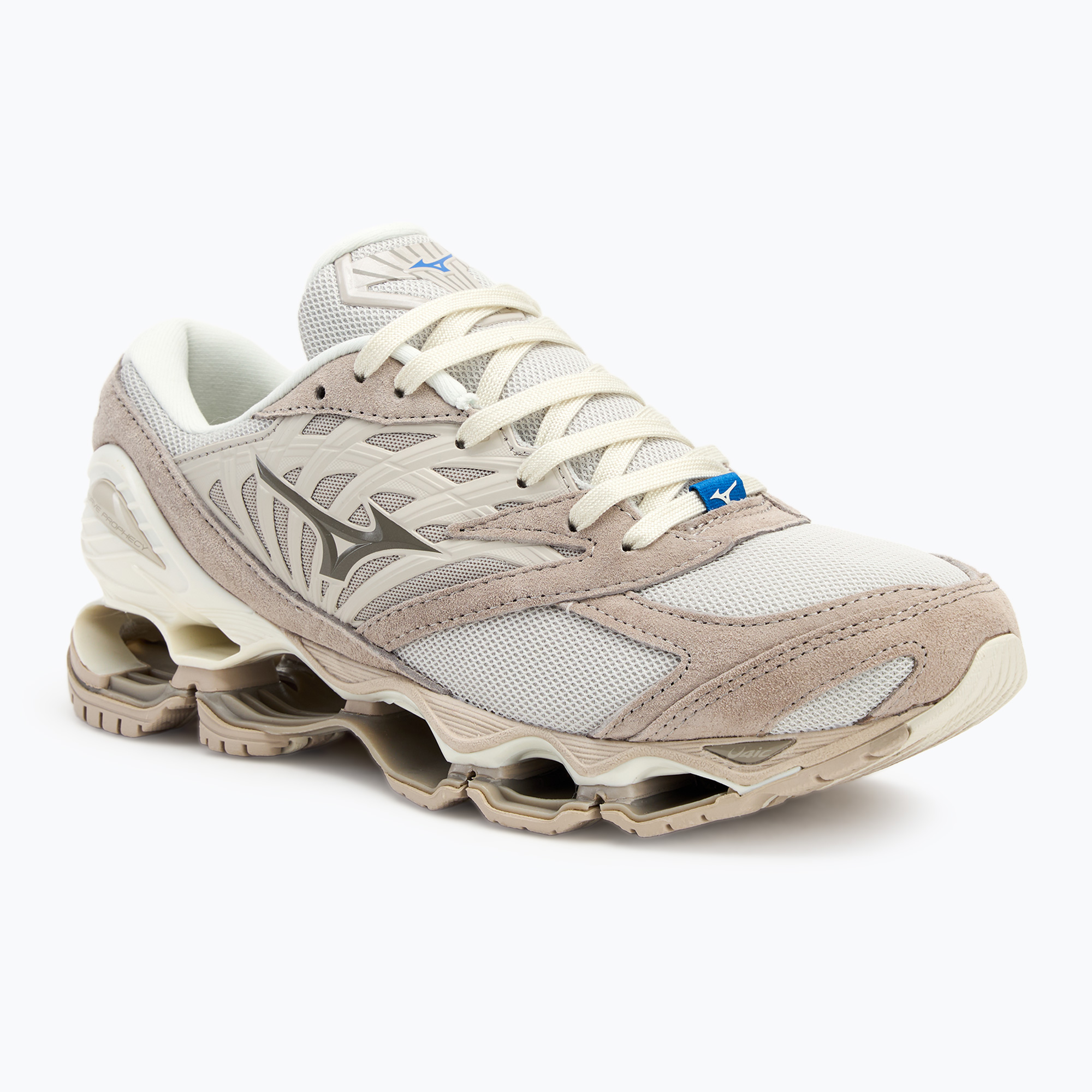 Topánky Mizuno Wave Prophecy LS wind chime / fallen rock / silver cloud (Wave Prophecy LS D1GA226201)