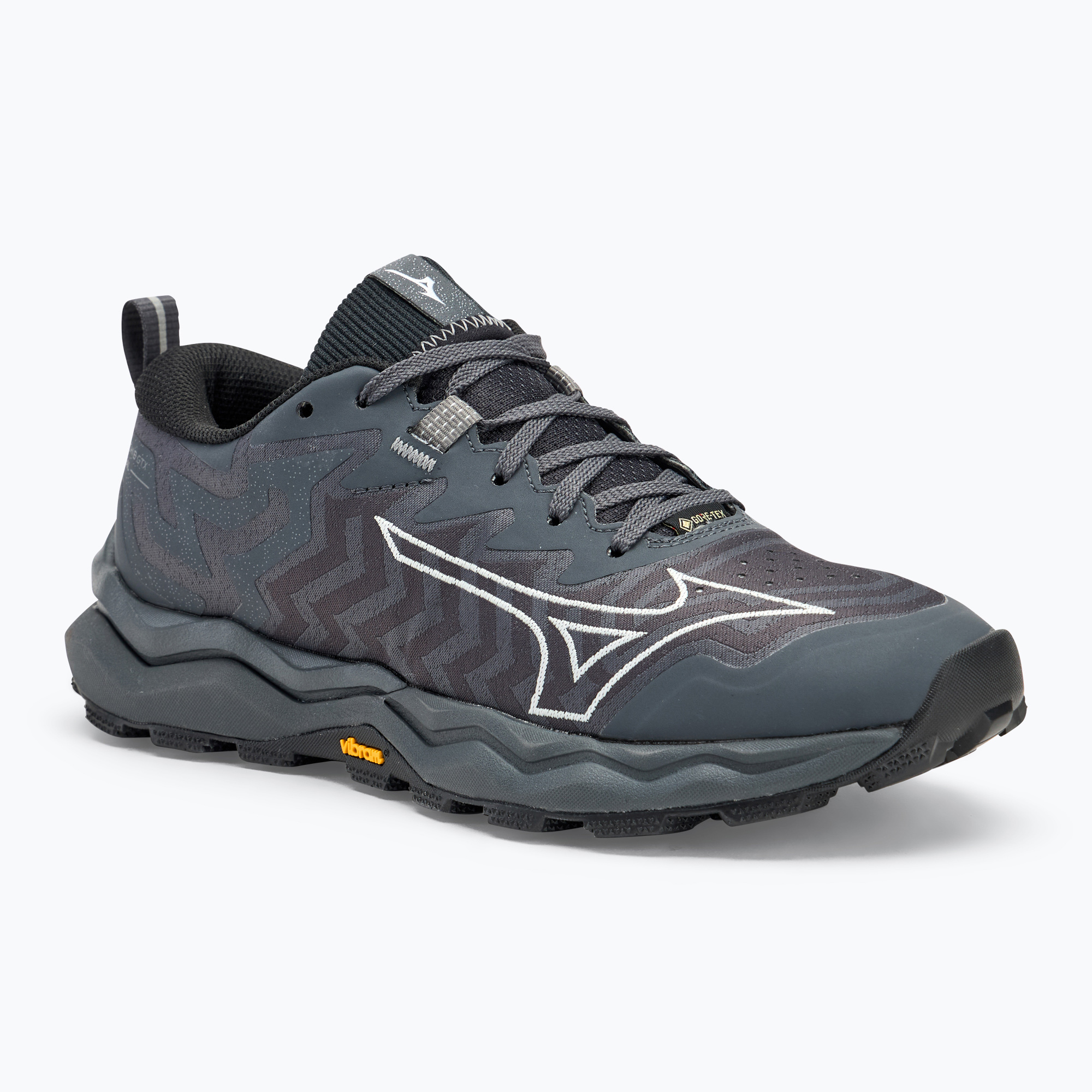 Dámska bežecká obuv Mizuno Wave Daichi 8 GTX iron gate/nimbus cloud/black (Wave Daichi 8 GTX J1GK245621)
