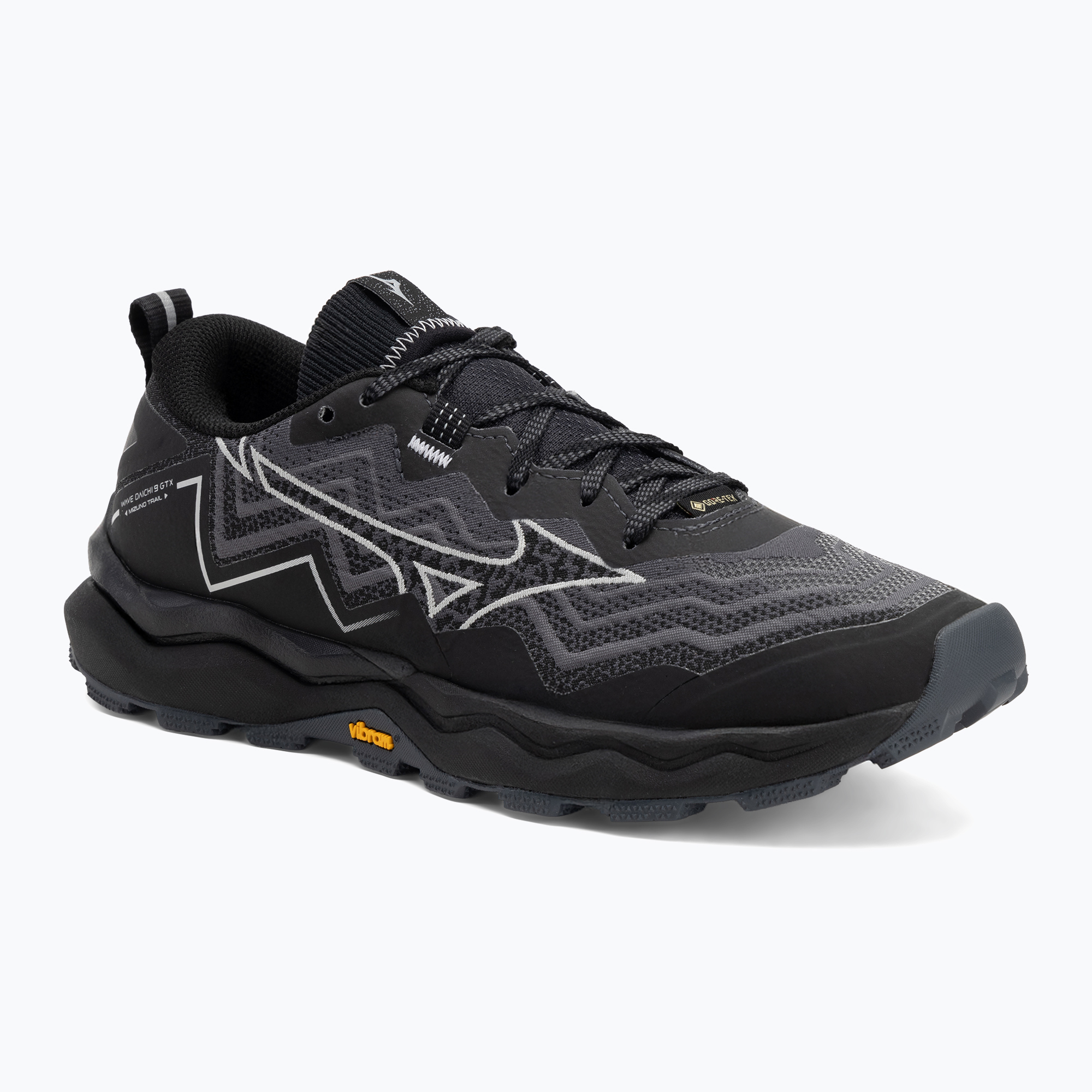 Dámska bežecká obuv Mizuno Wave Daichi 9 GTX ebony/harbor mist/black (Wave Daichi 9 GTX J1GK255621)