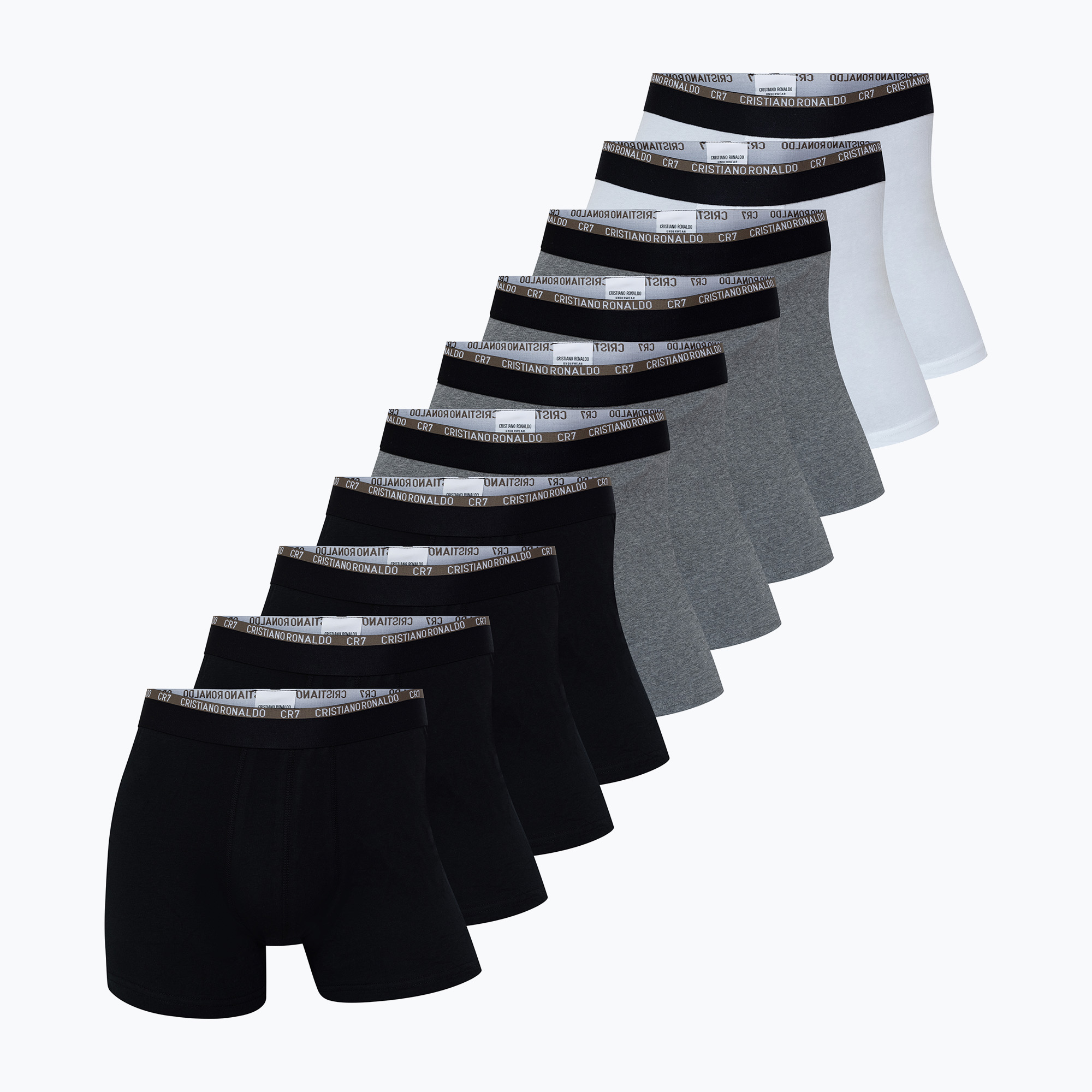 Pánske boxerky CR7 Basic Trunk 10 ks multicolur (Basic Trunk 10-pack 300-8120-49-2577)