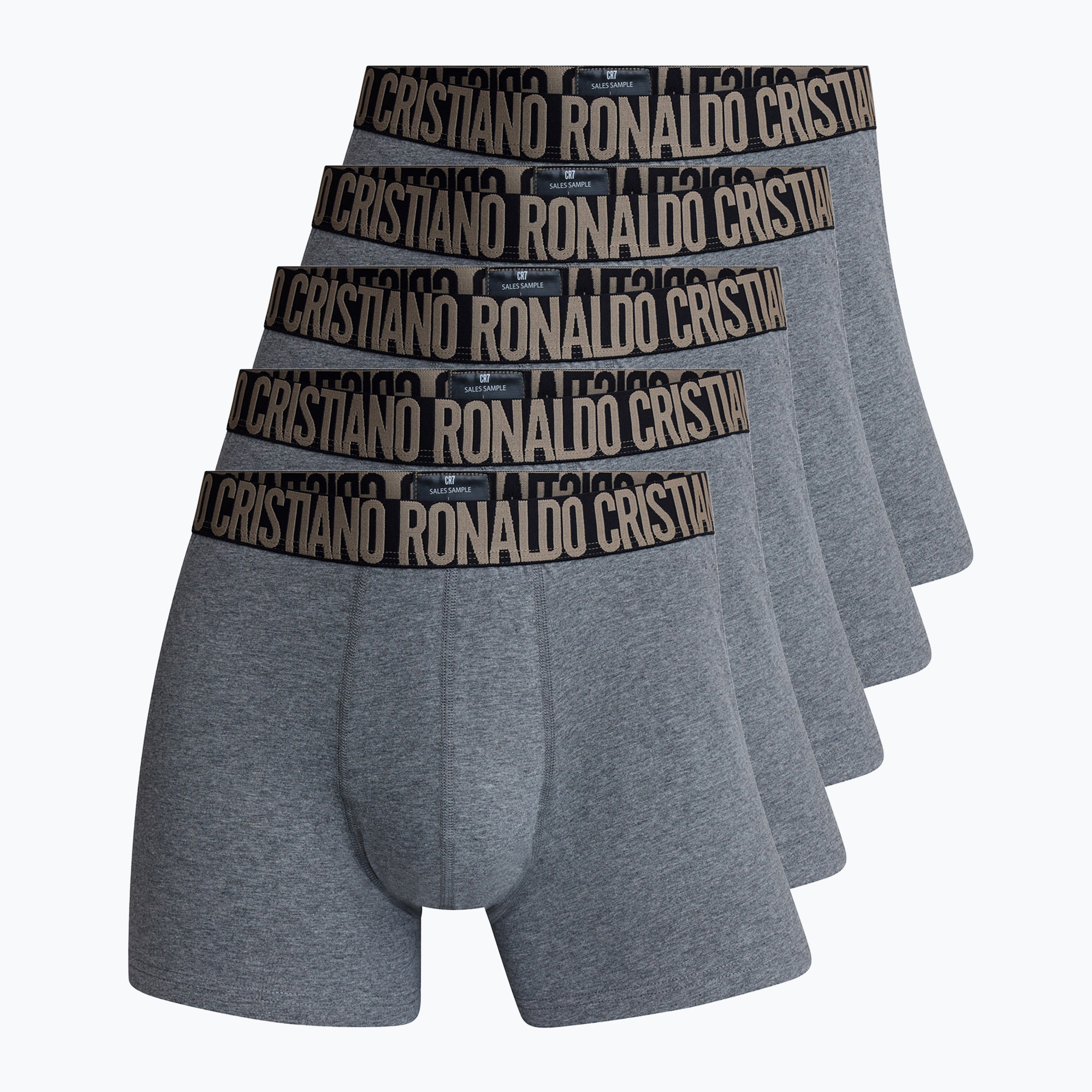 Pánske boxerky CR7 Basic Trunk 5 párov viacfarebné (Basic Trunk 5-pack 300-8123-49-2413)