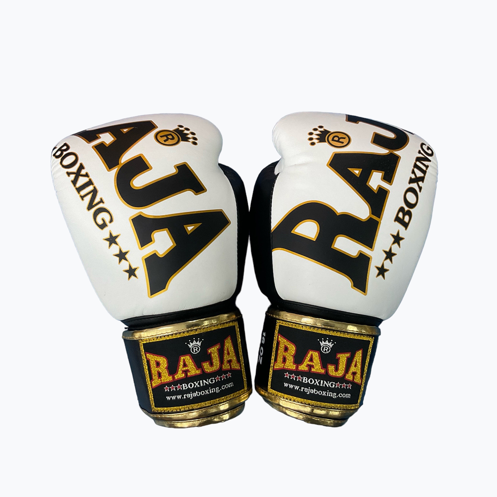 Boxerské rukavice RAJA BOXING Origin Standard Genuine Leather white (Origin Standard Genuine Leather RBGV-GL-1A-WH)