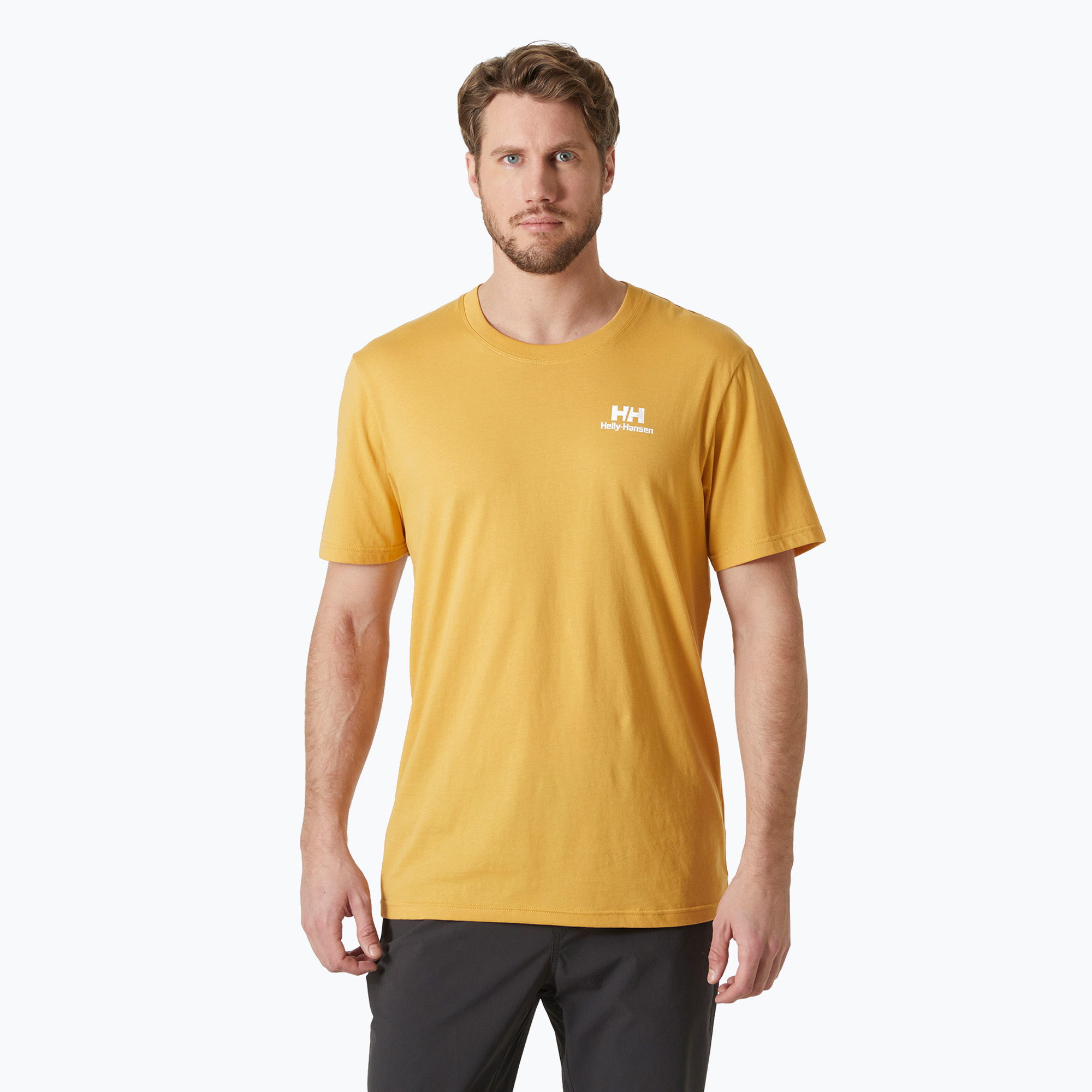 Pánske tričko Helly Hansen Nord Graphic sand (Nord Graphic 62978_389)
