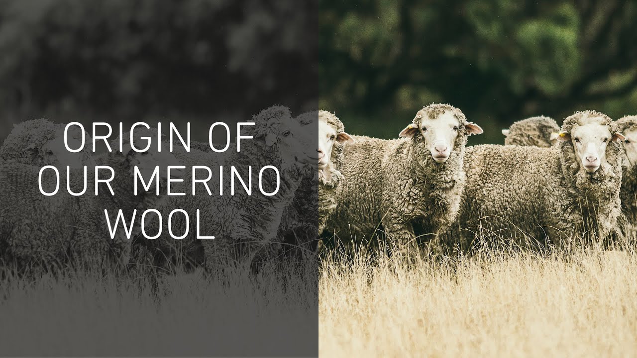 Pánske trekingové tričko Ortovox 140 Cool Mtn Playground sivé 88302