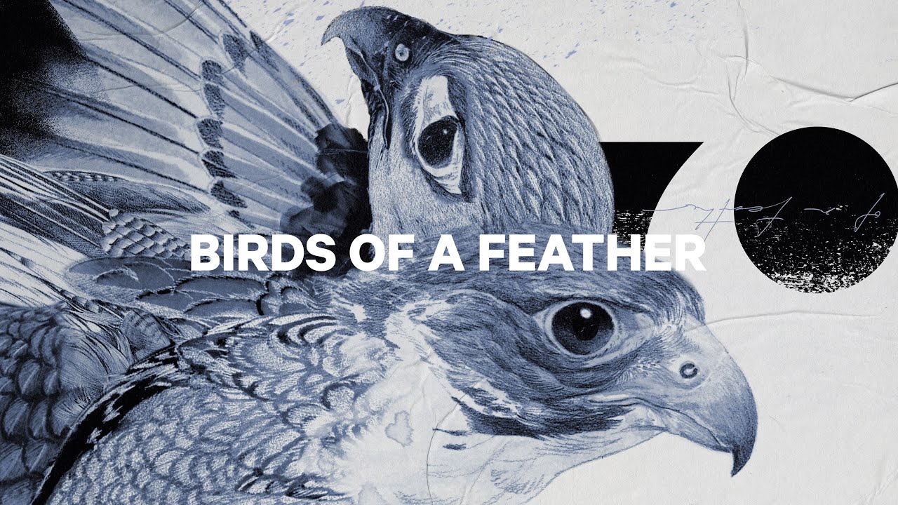 Dámsky snowboard CAPiTA Birds Of A Feather 1221108