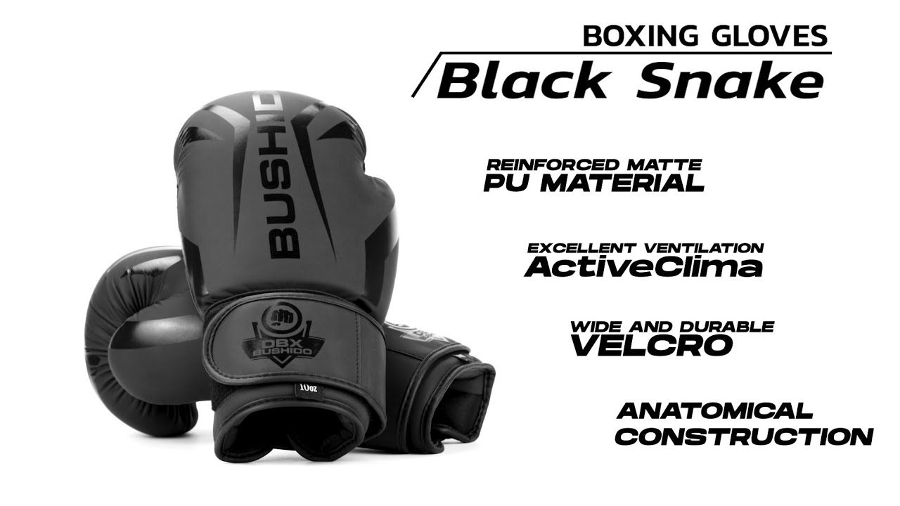 Boxerské rukavice DBX BUSHIDO 'Raptor' čierne