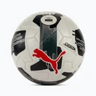 Futbal